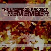 Remember Original Mix The Underdog Project