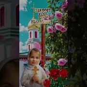 С Днем Казанской Божей Матери