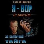 Писатель Зверев Сергей