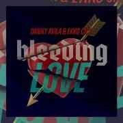 Danny Avila Bleeding Love