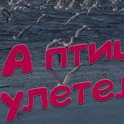 Сергей Одинцов А Птицы Улетели