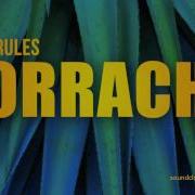 House Rules Borracho