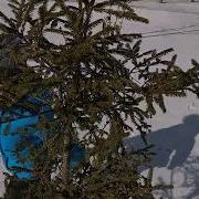 До Свидания Зима Здравствуй Весна