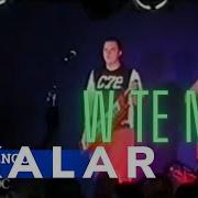 Scalar V Te Noc 2021