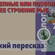 Биология 7 Класс Бабенко 30 Параграф Черепные Или Позвоночные Внешнее