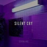 Silent Cry Echo