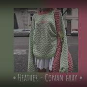 Heather Conan Grey Speed Up