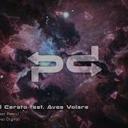 Naive Lexer Remix Rafael Cerato Aves Volare