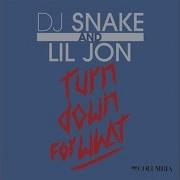 Dj Snake Lil Jon Turn Down For What Audio