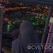 Cvetocek7