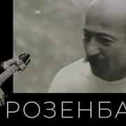 Штандер Александр Розенбаум