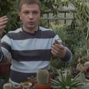 Наступает Прохлада
