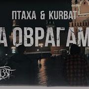 Птаха Kurbat За Оврагами Премьера 2020