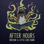 Little Lion Sound After Hours Radio Edit