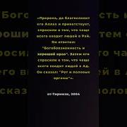 Богобоязненность