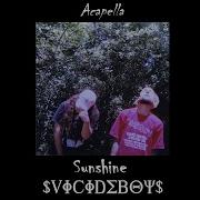 Uicideboy Sunshine Acapella