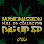 Live Let Live Audiomission Pull Up Collective