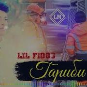 Лил Фидос Гариби