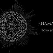 Shaman Torment