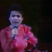 Нима Колди Кушик