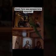 Господи Помилуй Господи Прости Попугай