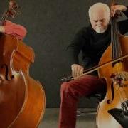 Double Bass