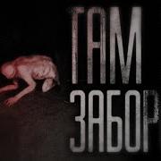 Страшные Истории На Ночь Там За Забором