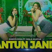 Joget Dangdut Terbaik 2022 20231