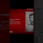 Базелевич