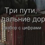 Три Пути Три Дальние Дороги На Гармошке